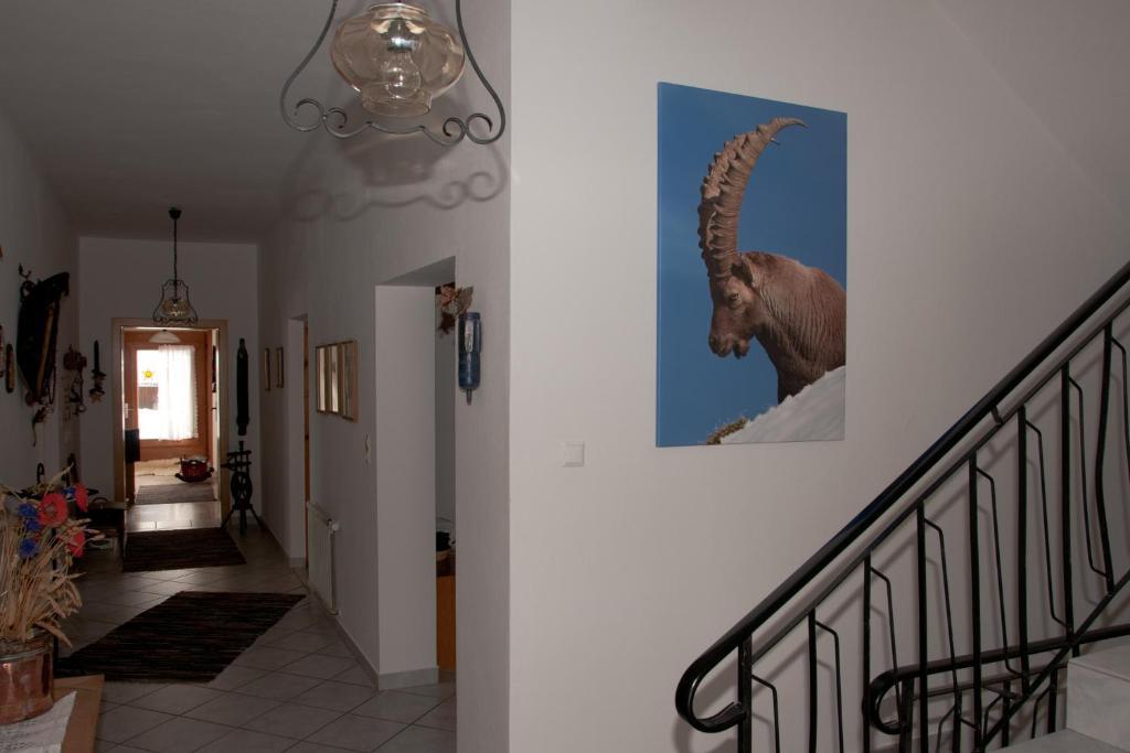 Appartements Schmalzerhof Грис-им-Зельрайн Экстерьер фото